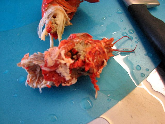 Den här hummern hade en hel del rom - hurra!