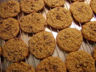 Havrekakor med chokladknappar - Oatmeal Chocolate Chip Cookies