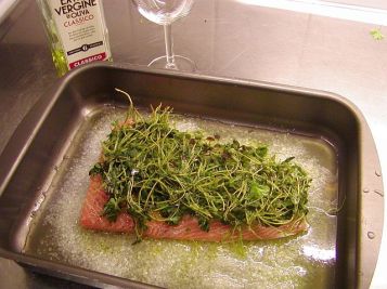 Jag hade lite för mycket vin här... det är inte meningen att laxen ska  simma i saltat vin. 