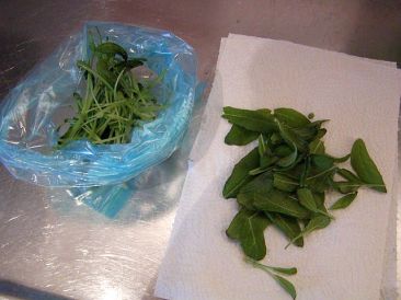 Plocka örterna från stjälkarna