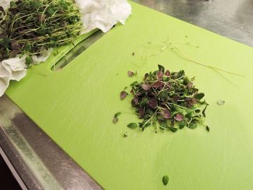 Laxfilé med purjolök och chevreost 5