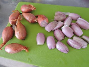 Schalottenlök