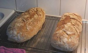 nästan-surdegsbröd